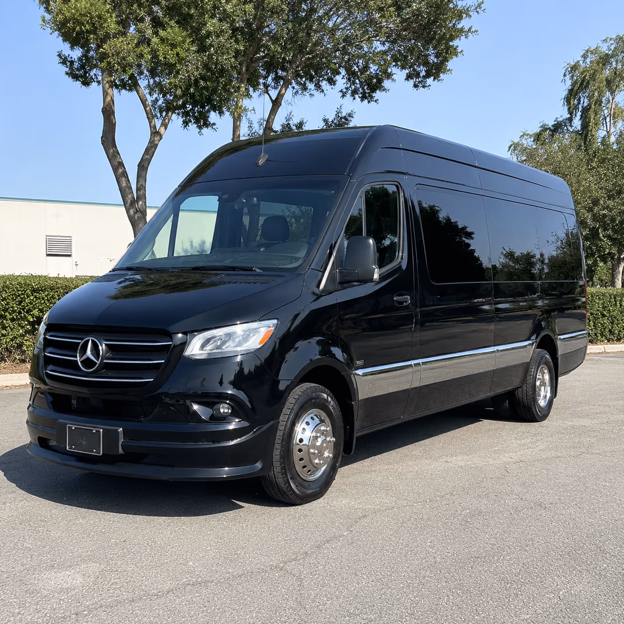 Sprinter Van
