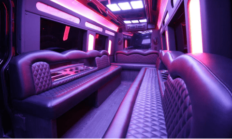 Columbus 14 Passenger Sprinter Bus Interior