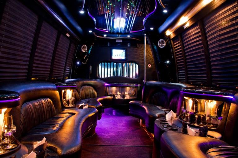 Youngstown 22 Passenger Party Bus Interior